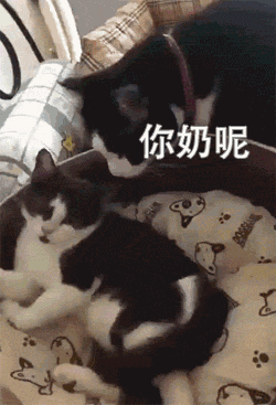 (~ε(#~)☆╰╮o(~皿~///)强人锁男大法我原来就是这样锁住大佬的头的