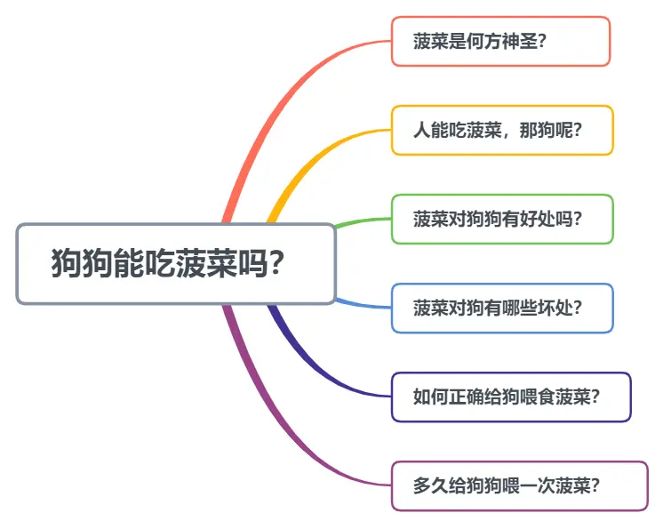 狗狗需要吃菠菜吗 6个问题带你彻底解锁菠菜对狗到底意味着什么 哔哩哔哩
