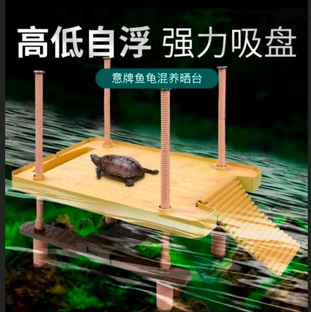 养龟攻略