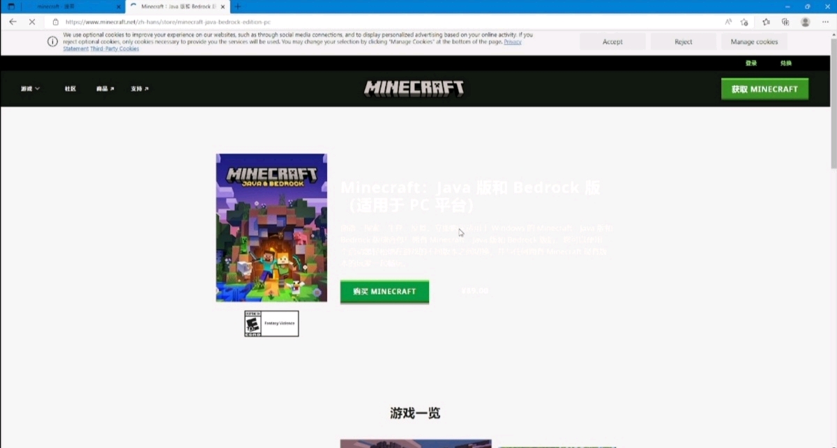  minecraft java 