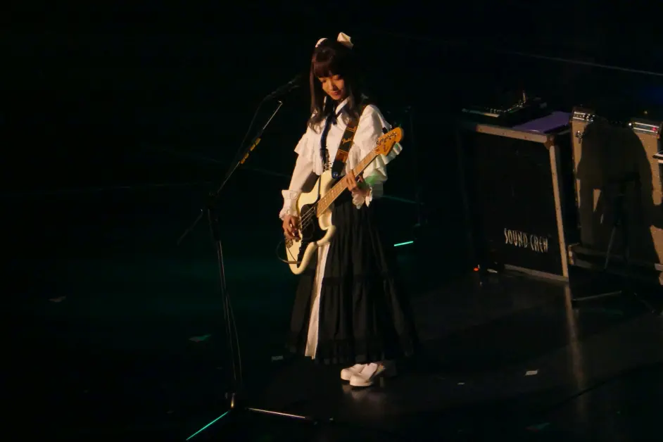 双生的红蔷薇 Ykyr 哔哩哔哩