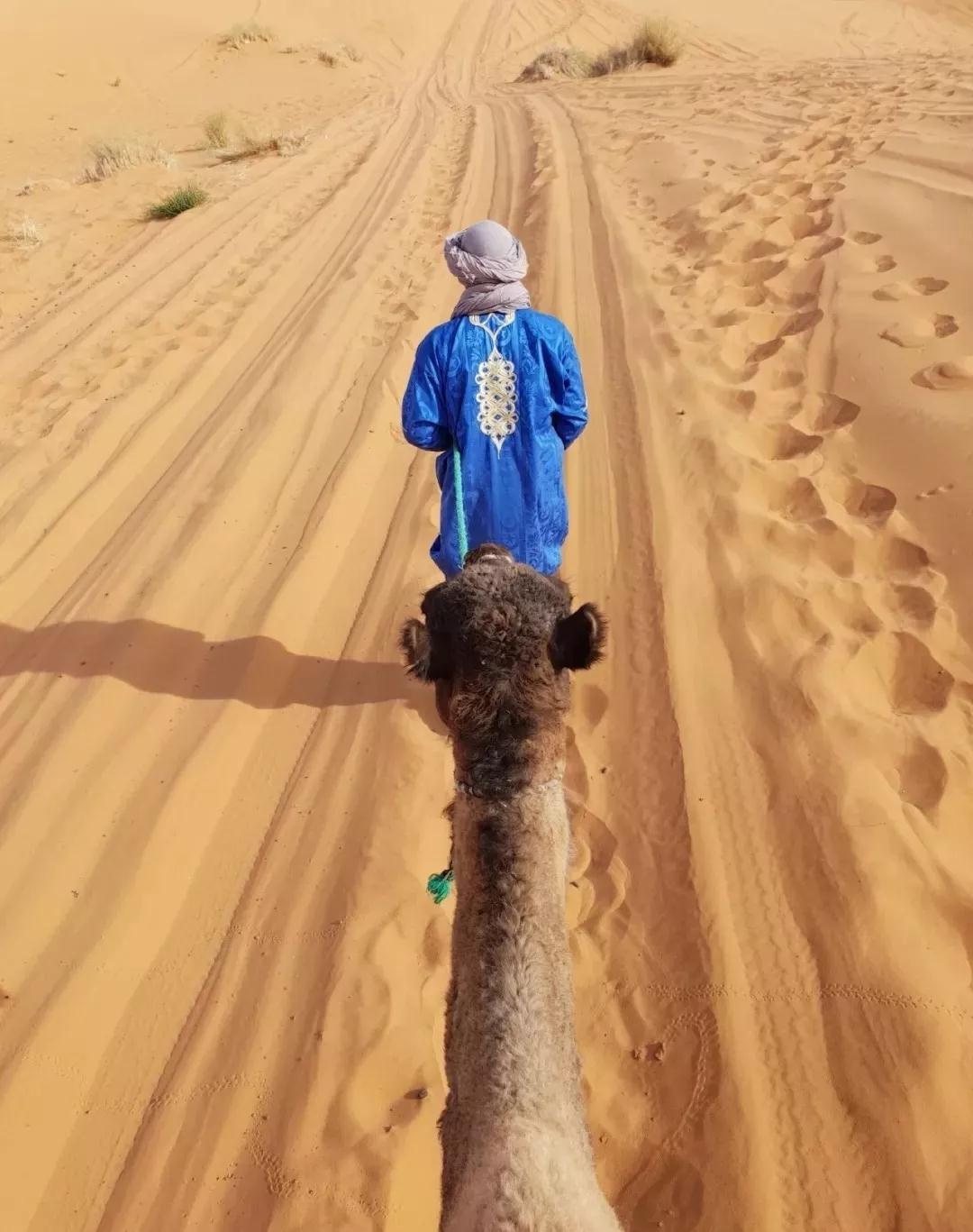 风行环游记|向前冲吧,勇敢的沙漠王子!