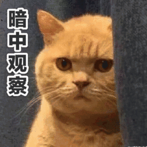 300_300gif 动态图 动图