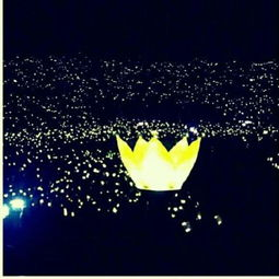 我们志龙，生日快乐