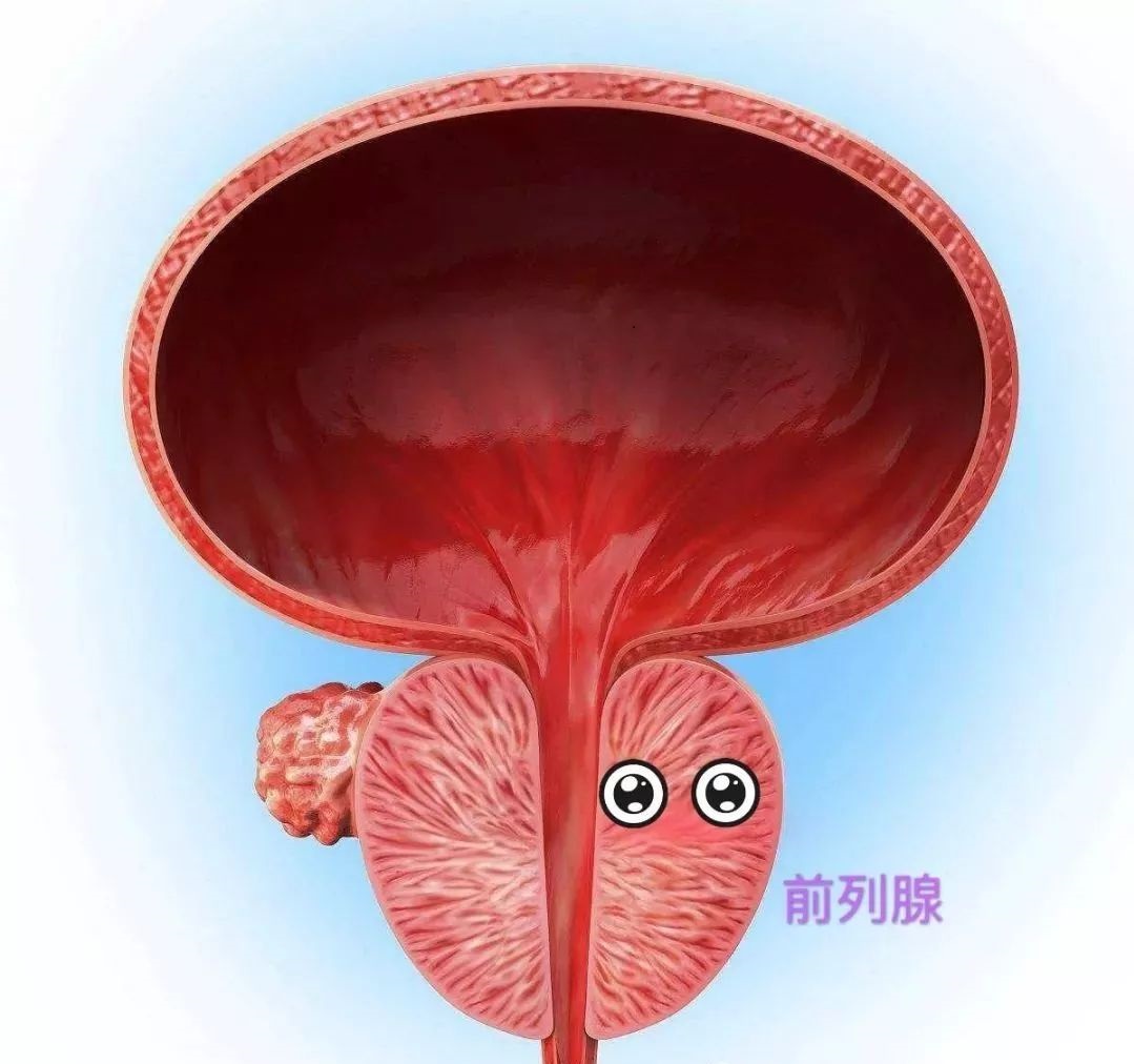 急性前列腺炎会引起哪些并发症？ - 哔哩哔哩
