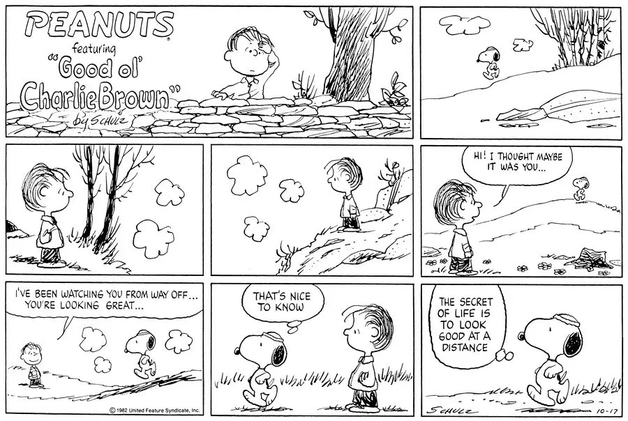 花生漫画专题 史努比经典语录之考据 哔哩哔哩