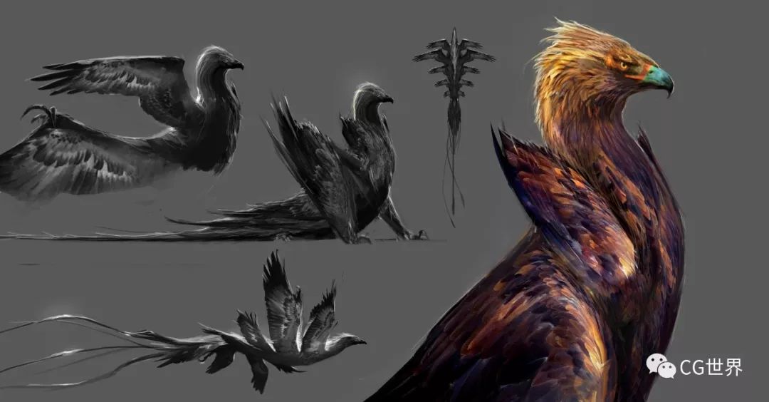 分享一波神奇动物的概念图