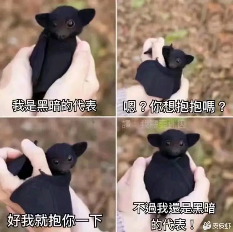 Fgo抽卡系统运作原理详解 哔哩哔哩