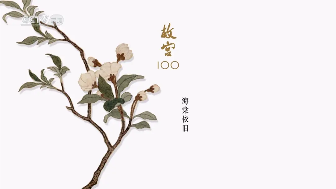 纪录片《故宫100》解说词文本67  海棠依旧