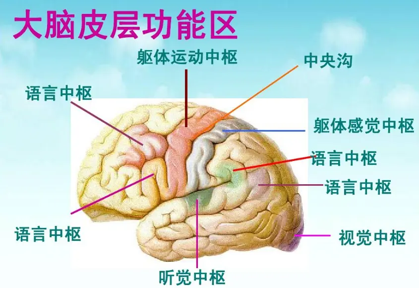 一个艺术鉴赏能力几乎为零的理科生看四谎之后想说的两点 哔哩哔哩