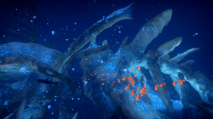 720_405gif 动态图 动图