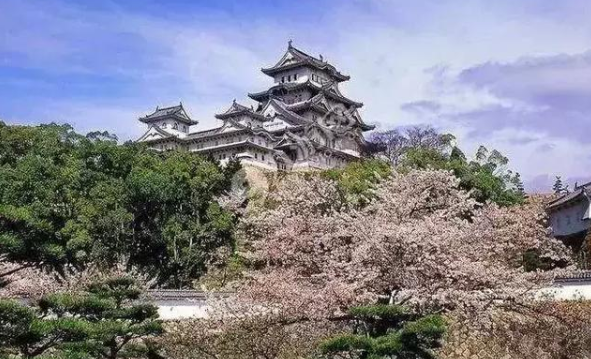 「择校」武汉大学 计算机考研院校详情汇总