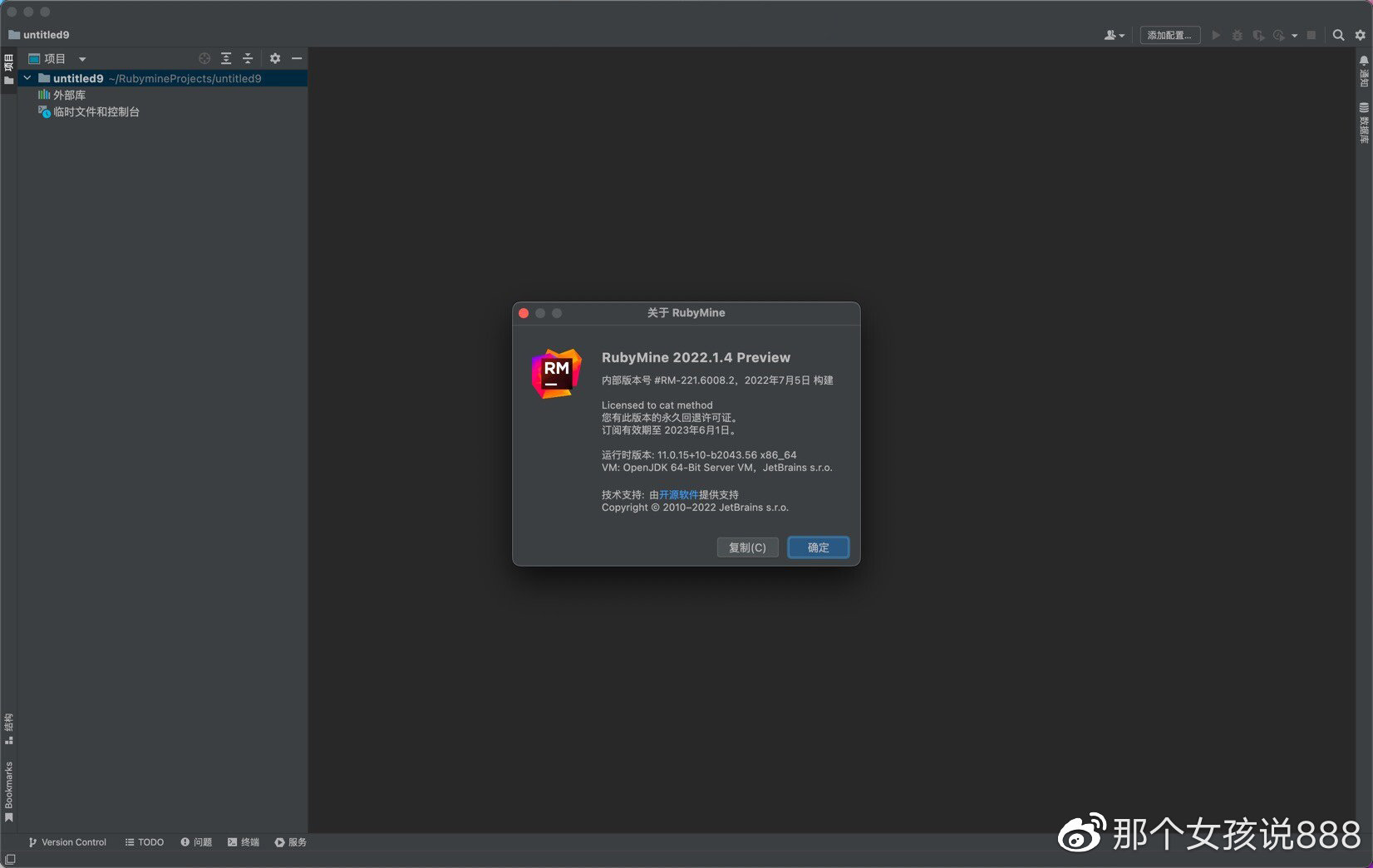 downloading JetBrains RubyMine 2023.1.3
