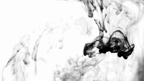 500_281gif 动态图 动图