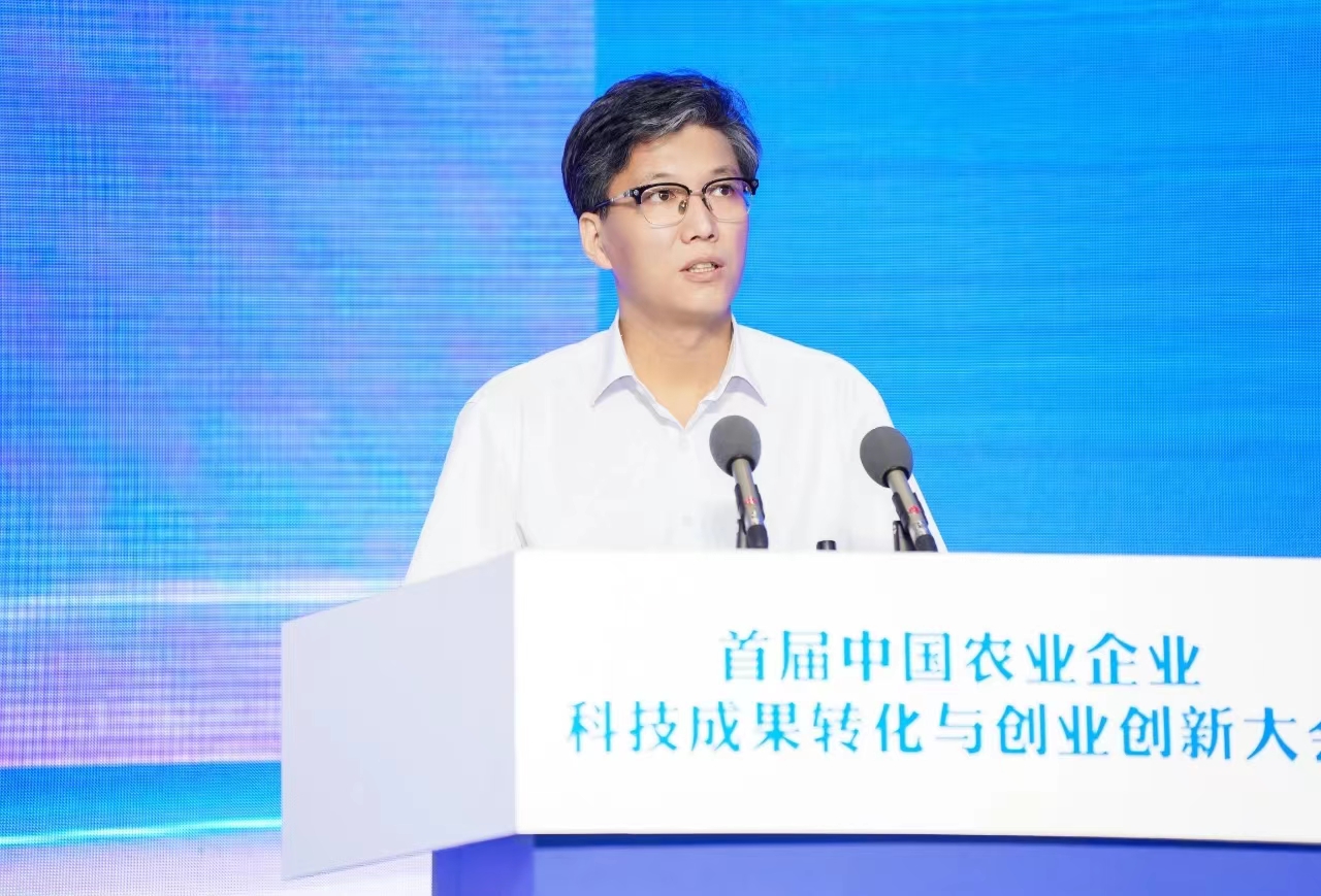 农业技术研发：撬动未来种植业的新引擎