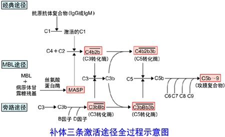 AG尊龙凯时- 尊龙凯时官方网站- APP下载鸿博股份：2025年上半年盈利422591万元 同比扭亏