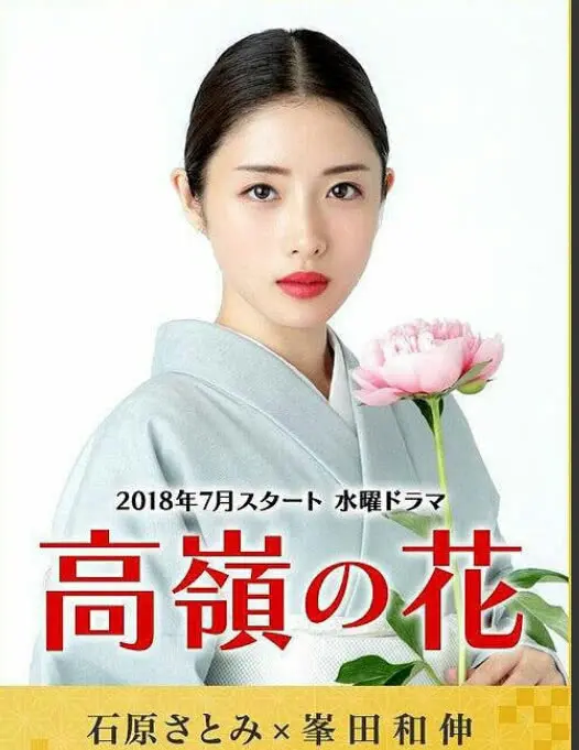石原里美新剧 女神饰演高岭之花 男主却让人难以直视 哔哩哔哩