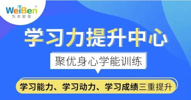 怎么样锻炼孩子的专注力 为本教育 哔哩哔哩