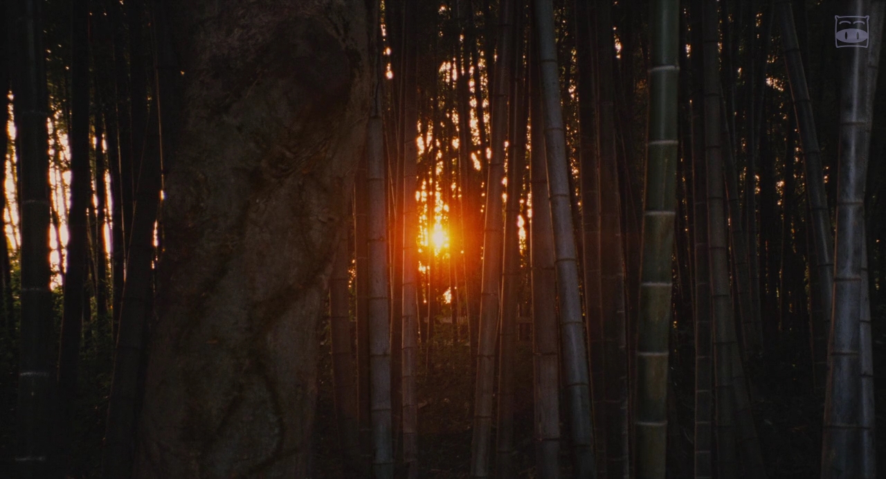 《椿花散落》:与亡妻的约定