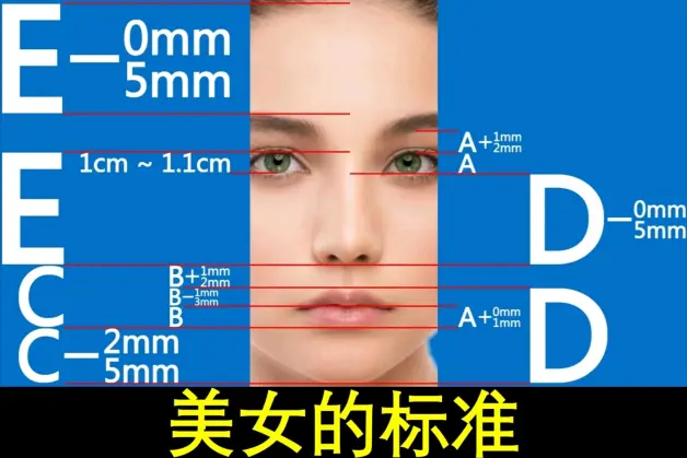 美女最权威的标准 哔哩哔哩