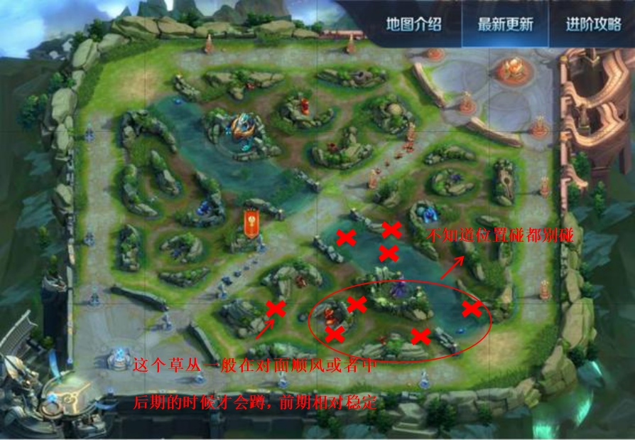 血小鳞王者荣耀意识教学第一弹(两弹连发)