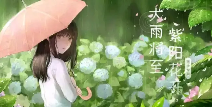 手机壁纸雨季专题大雨将至 紫阳花开第三期 19年4月11日by Gameboy盐泽 哔哩哔哩