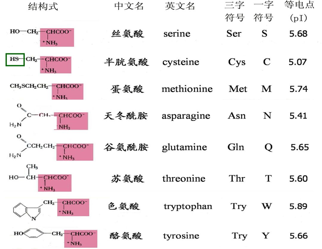 各种氨基酸中文名字由来 - 哔哩哔哩