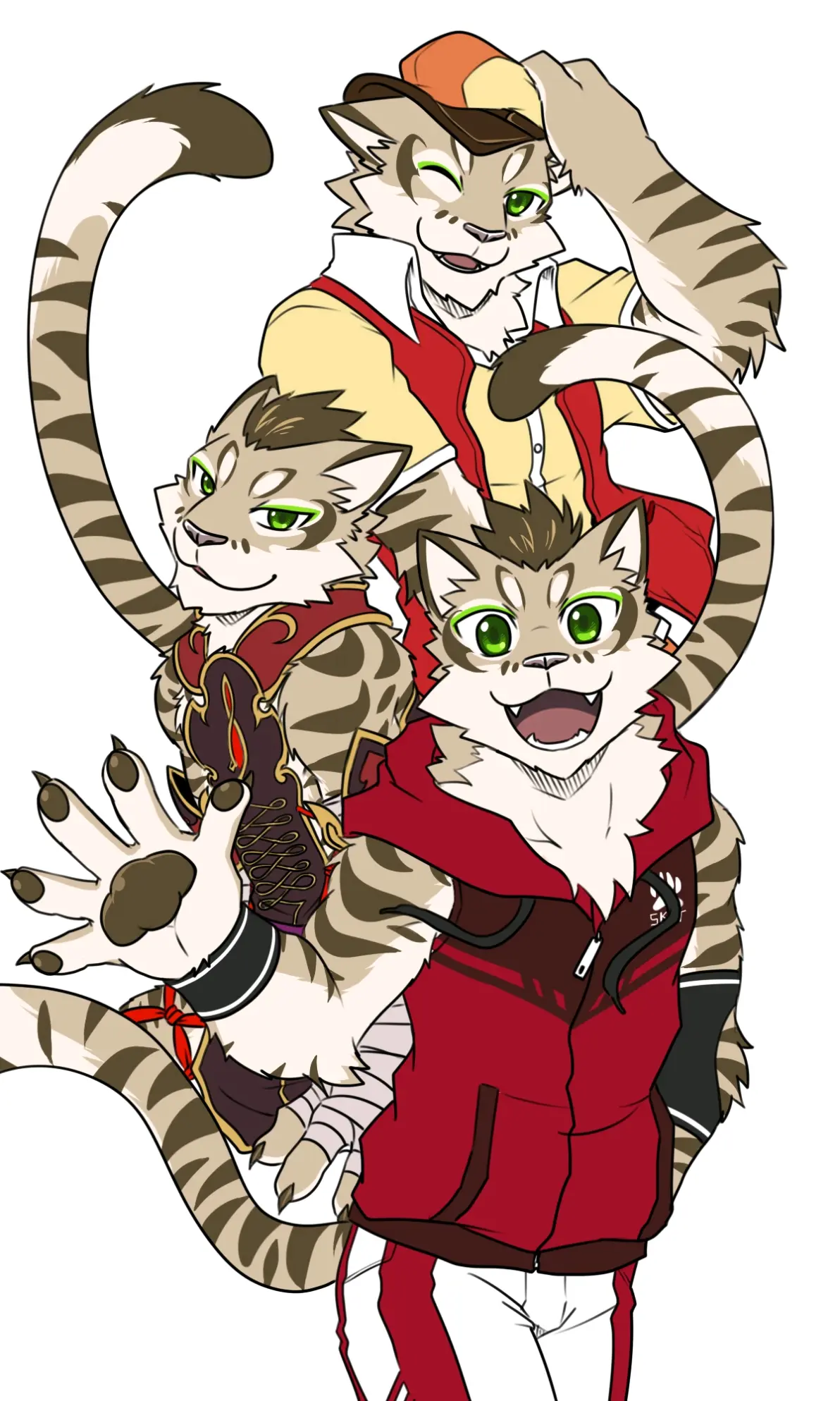 家有大猫插画壁纸石虎学长颜书齐篇