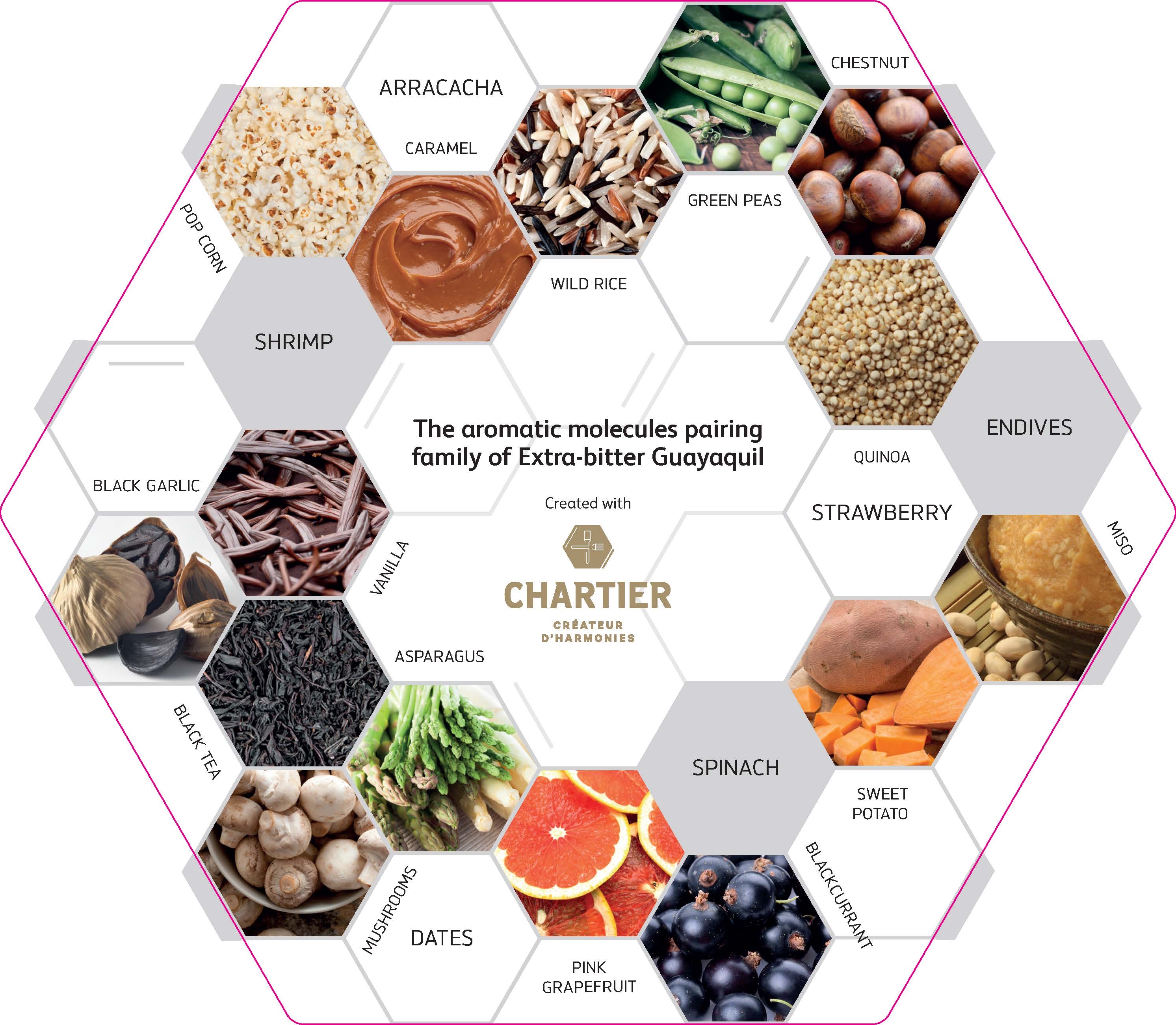 CacaoBarry 风味配搭 Extrabitter Guayaquil 64 哔哩哔哩