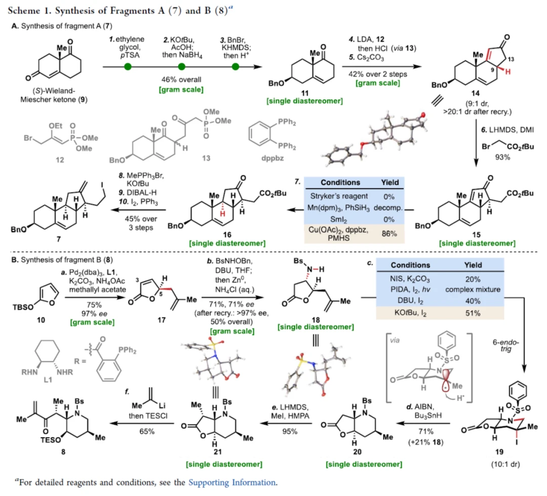 Phil S. Baran课题组最新JACS：(-)-Cyclopamine的汇聚式全合成 - 哔哩哔哩