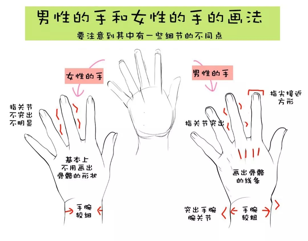 在通常情况下,男生的手一般比较大比较粗 女生的手相对来说比较小且细