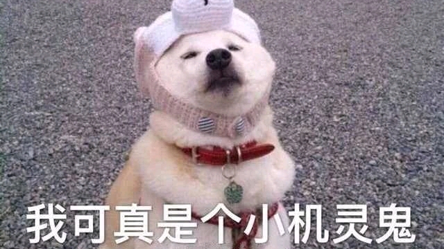 中药材传统经验鉴别术语 哔哩哔哩