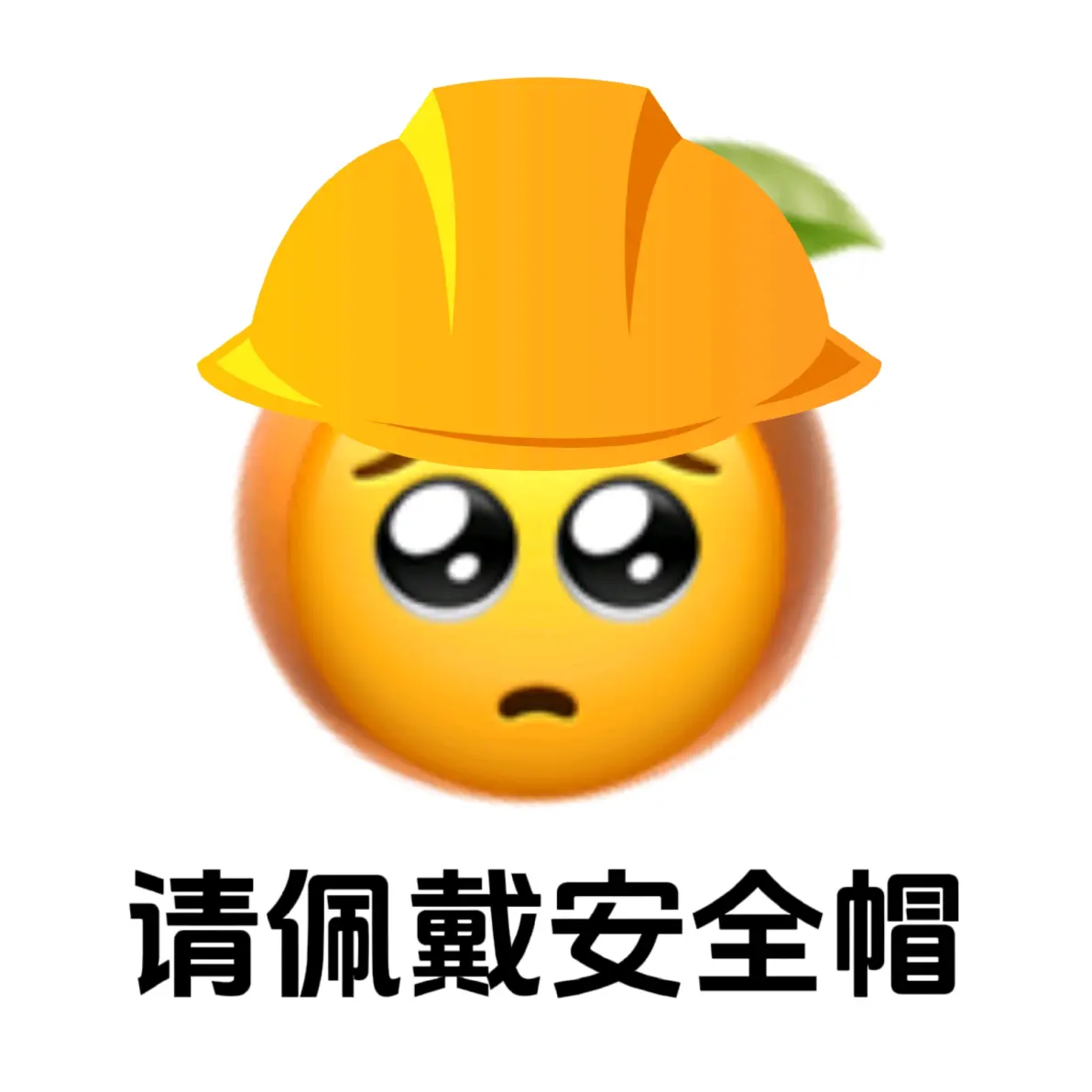 追星需要戴安全帽?