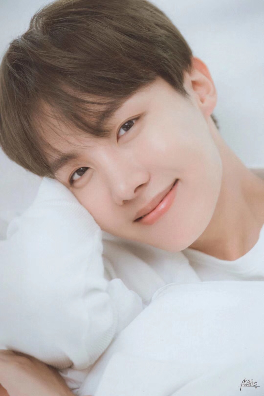 是你,刚好 (郑号锡篇)