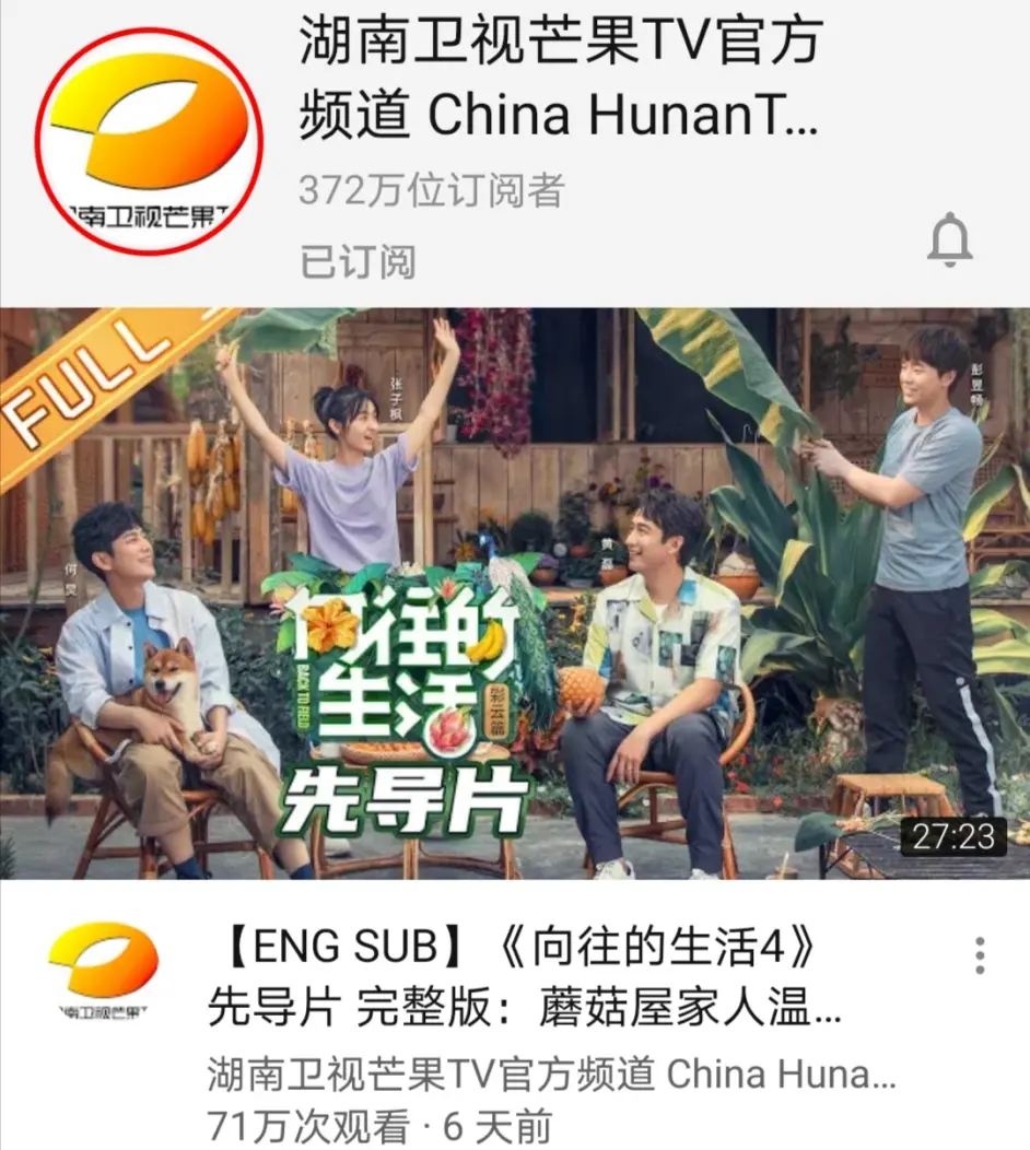 Youtube内地频道 湖南卫视成绩亮眼 李子柒拥千万粉丝 华农 大sao水土不服 哔哩哔哩