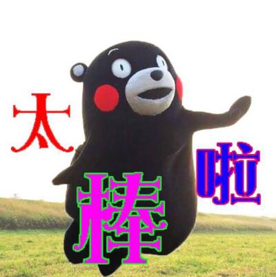 谷歌排名优化方法_谷歌排名优化_谷歌排名优化入门教程