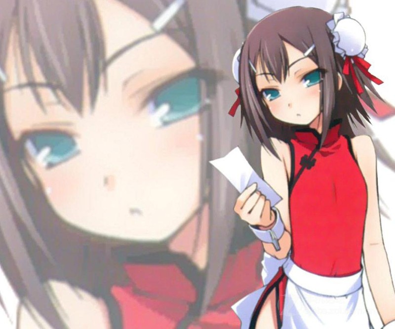 1.木下秀吉--《笨蛋测验召唤兽》