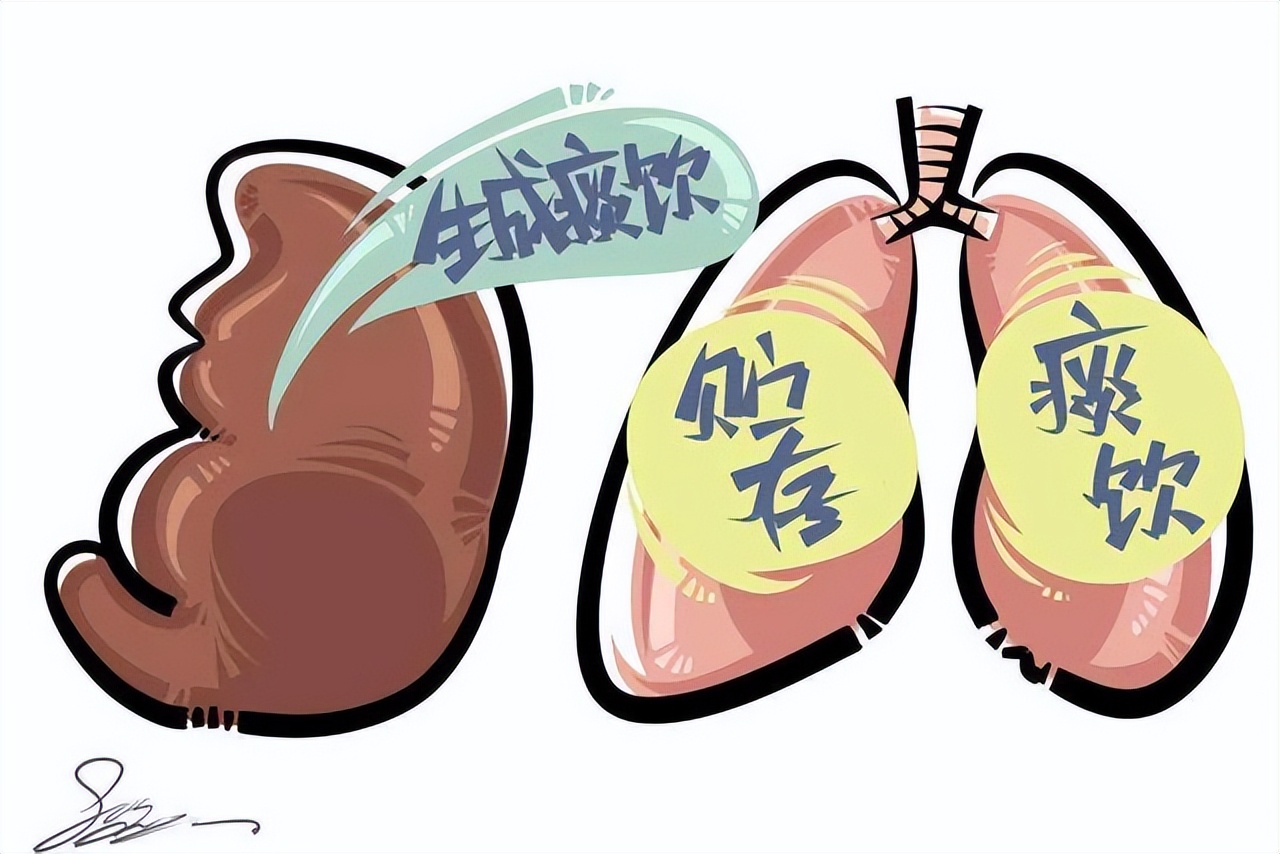 痰在哪，病在哪！中医教你中药煮水，化解全身上下，五脏六腑之痰 - 哔哩哔哩
