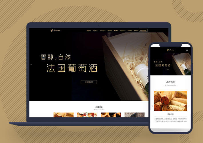 模板网站建设_模板网站建设方案_深圳模板网站建设