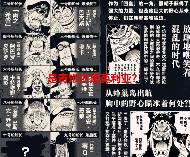 海贼王情报 黑胡子第10位队长是阿金 红发参加的是乌塔的婚礼 哔哩哔哩