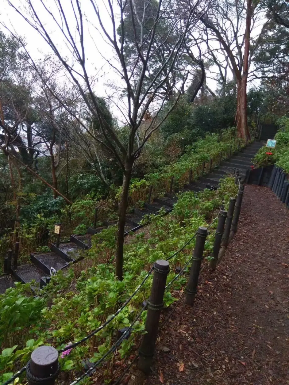 Arashi控霓虹游记7日行 哔哩哔哩