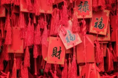 命理八字 虎 兔年财运腾飞 收入猛涨的生肖 哔哩哔哩 命理八字 虎 兔年财运腾飞 收入猛涨的生肖 哔哩哔哩