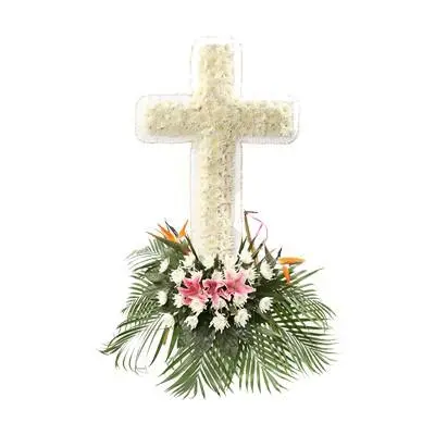 悼念逝者买什么花合适 悼念死者送什么花最好 多少朵 哔哩哔哩