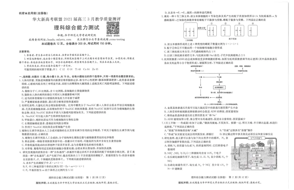 华大新高考联盟21届高三3月教学质量检测理科综合能力测试 哔哩哔哩