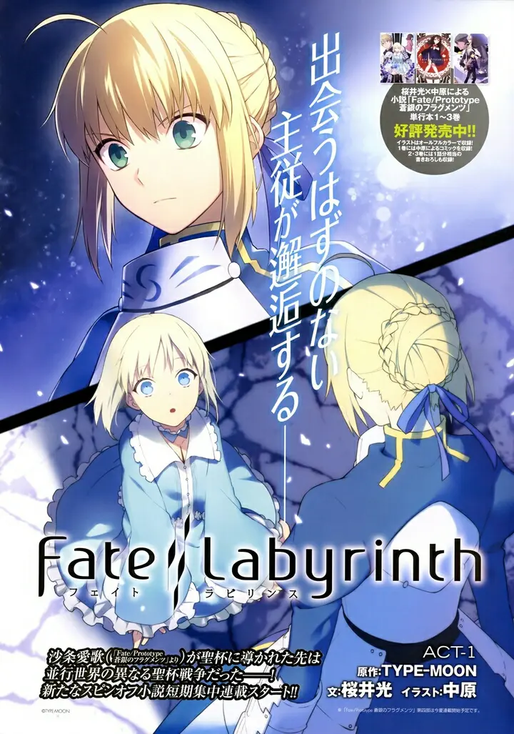 转 Fate Labyrinth Act1 哔哩哔哩