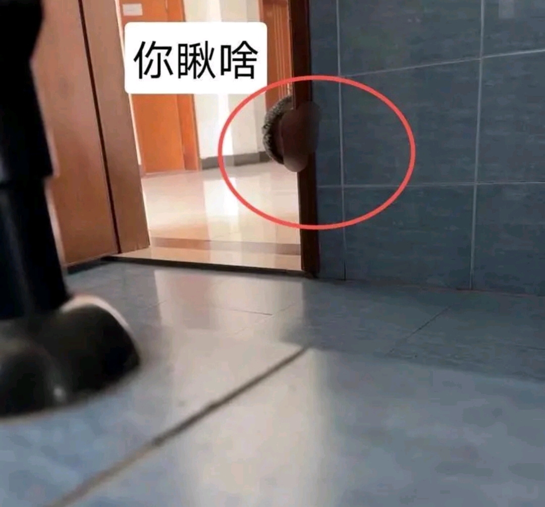 南京高校教授偷窥女厕被停职调查-直播吧zhibo8.cc