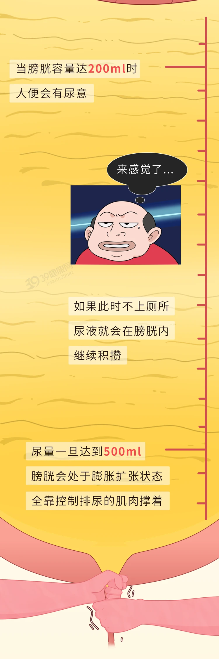 经常憋尿或会憋坏全身多个器官3