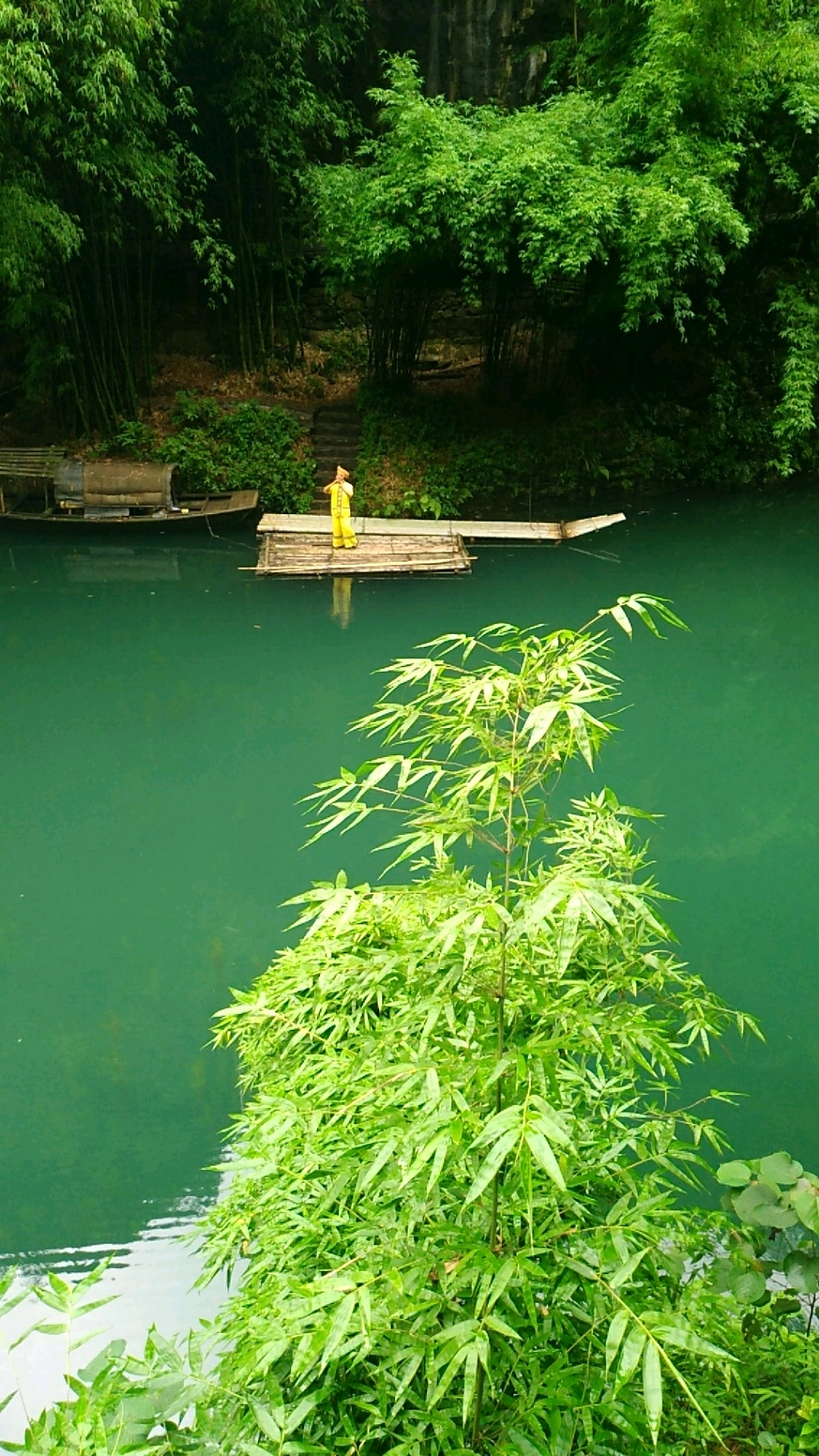 巴东三峡巫峡长 猿鸣三声泪沾裳