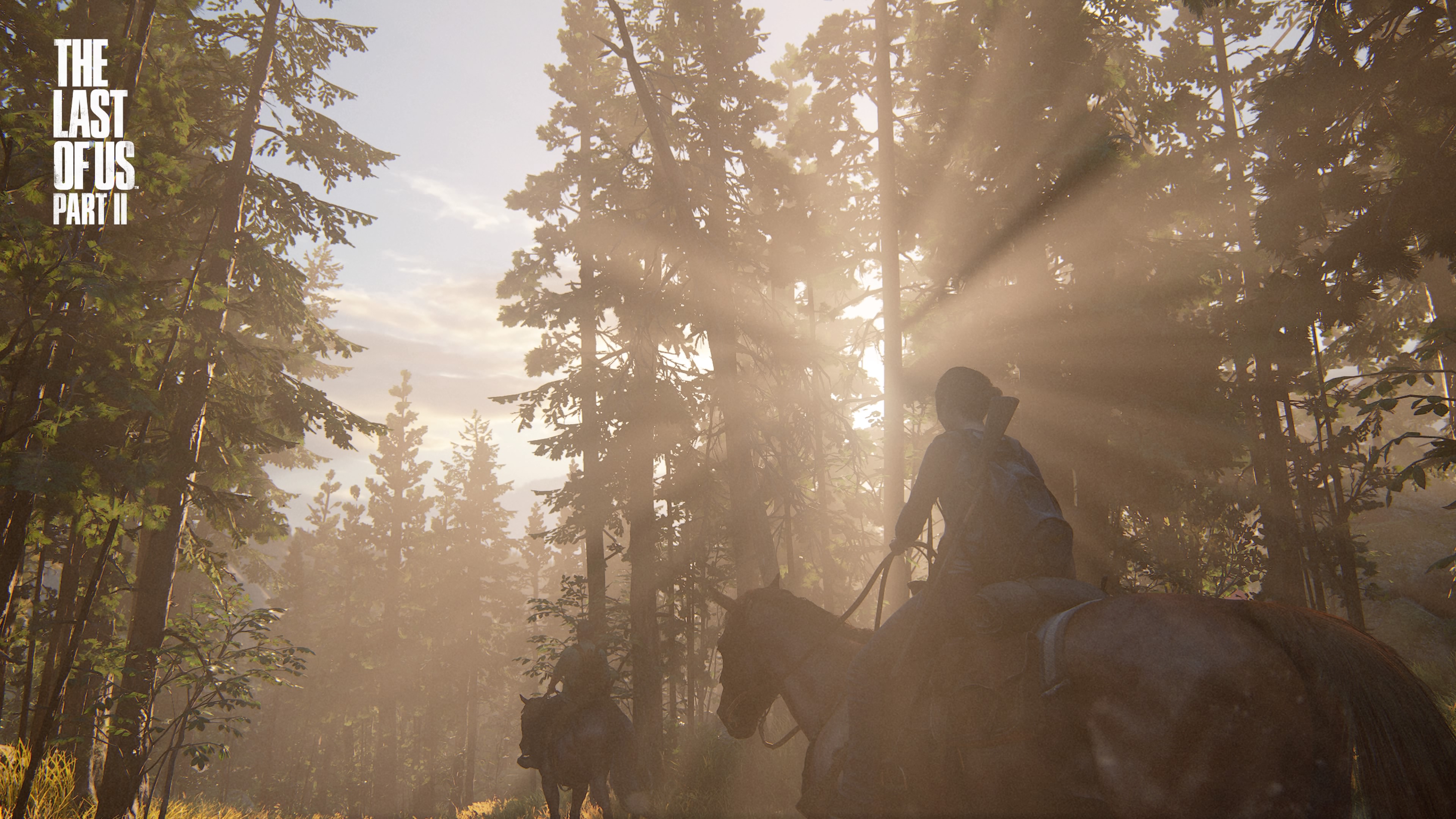 最后生还者2 照片模式 随手一截就是壁纸