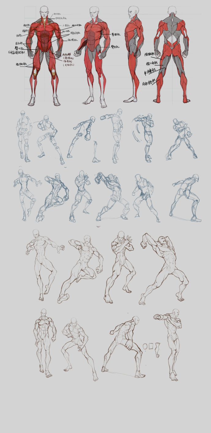 起型素材分享,【形体动态】的剖析